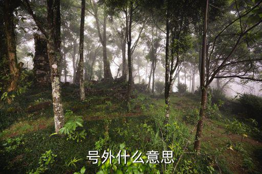 基金號外是什么意思，號外是什么意思