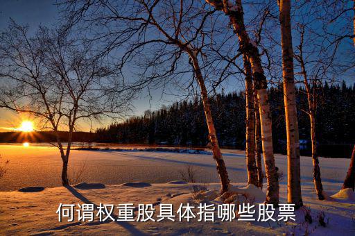 什么叫權(quán)重股，權(quán)重股與小盤股的區(qū)別在那兒我想數(shù)下有多少權(quán)重股有多少小盤股