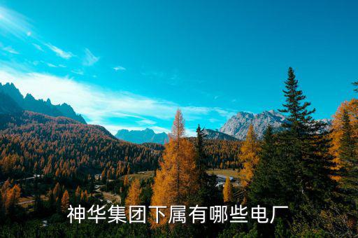 神華為什么收購電廠，神華集團(tuán)最近收購了哪些電廠