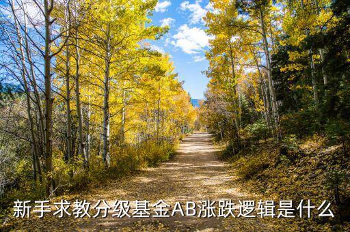 b級(jí)基金根據(jù)什么上升，基金是依靠什么數(shù)據(jù)上漲的