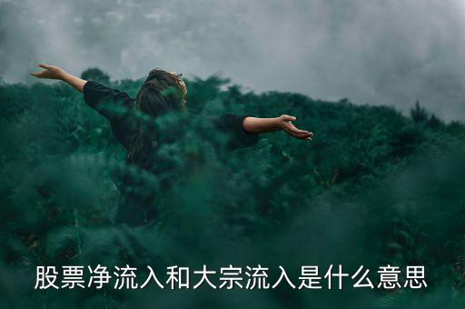 股票大宗流入是什么意思，股票凈流入額大宗流入什么意思