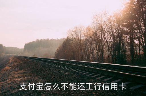 支付寶為什么不能還信用卡，支付寶怎么不能還工行信用卡