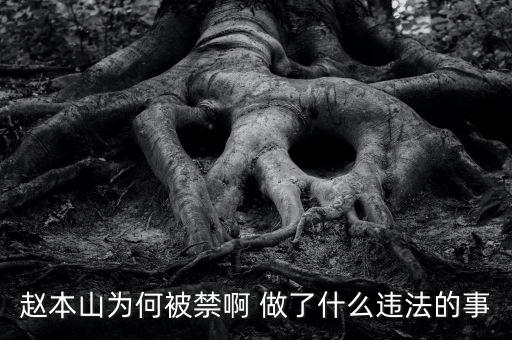 趙本山作品為什么禁播，趙本山的小品怎么也不讓播了