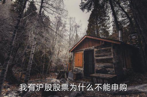 為什么我不能申購滬市新股，我有滬股股票為什么不能申購