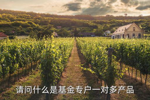 一對多專戶是什么意思，請問什么是基金專戶一對多產(chǎn)品