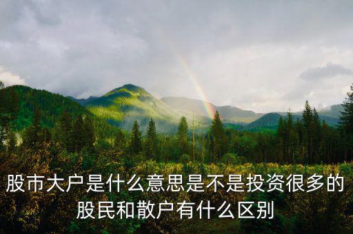 炒股大戶是什么意思，股票中的大戶是什么意思