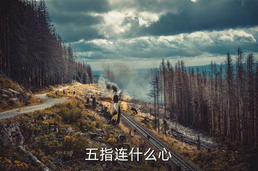 什么是五指理論，陳鶴琴提出的著名教育理論是