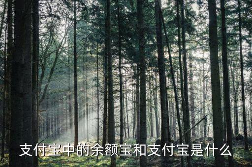 余額寶和支付寶是什么意思，支付寶里的余額寶是什么意思