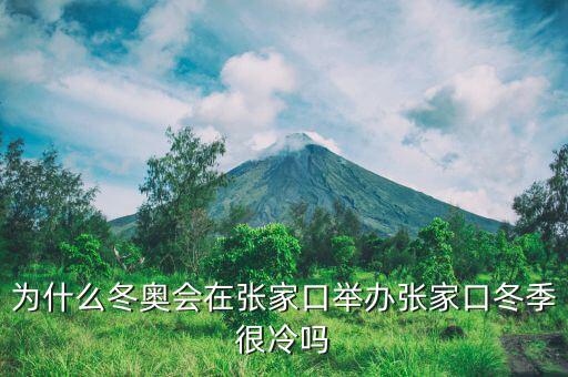 冬奧會(huì)為什么在張家口，為什么冬奧會(huì)在張家口舉辦張家口冬季很冷嗎