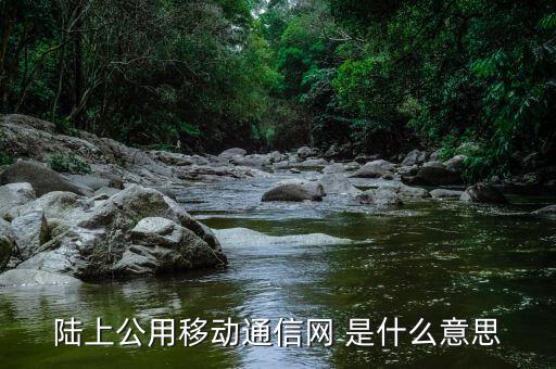 什么是公共碼頭運營商，什么是運營商