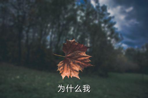 吳清友我為什么，我為什么活著寫作背景