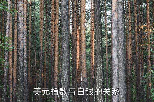 美元與白銀為什么成反比，白銀價格與美元匯率有什么關系