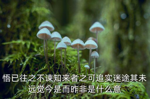 悟已往之不諫知來(lái)者之可追實(shí)迷途其未遠(yuǎn)覺今是而昨非是什么意