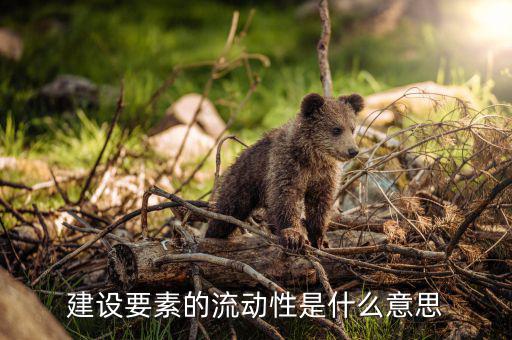什么是要素流動(dòng)，建設(shè)要素的流動(dòng)性是什么意思