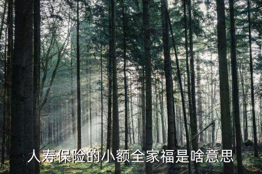 人壽全家福是什么意思，人壽保險(xiǎn)的小額全家福是啥意思