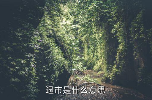 退市是什么意思，退市是什么意思