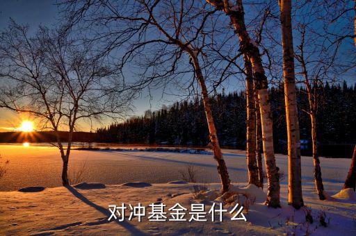 對(duì)沖基金到底是什么，對(duì)沖基金是什么