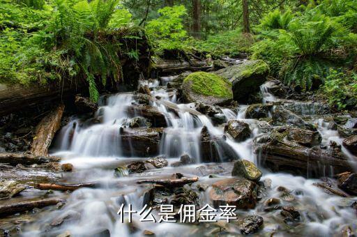 什么是傭金比率，什么是傭金率