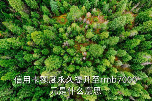 信用卡永久額度是什么意思，信用卡額度永久提升至rmb7000元是什么意思