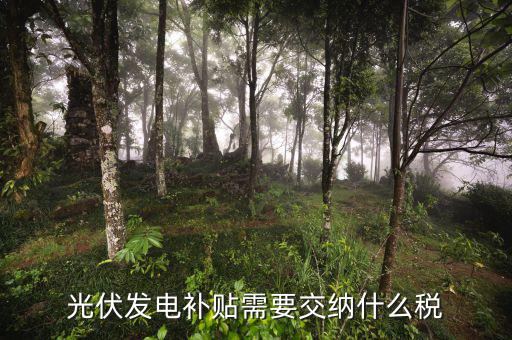 光伏的補(bǔ)貼免什么稅，光伏發(fā)電補(bǔ)貼需要交納什么稅