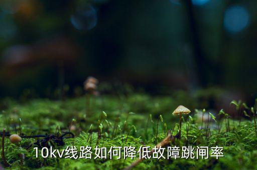為什么巡視一汽集團(tuán)，考駕照筆試可以照抄嗎