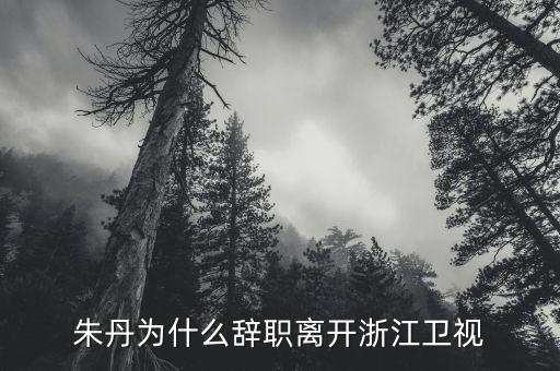 朱虹為什么辭職，回復(fù)朱市長你為什么辭職