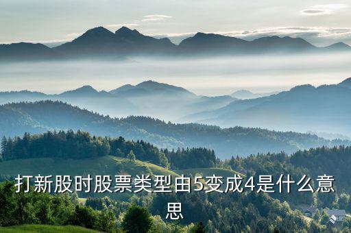 股票類(lèi)型4是什么意思，打新股時(shí)股票類(lèi)型由5變成4是什么意思