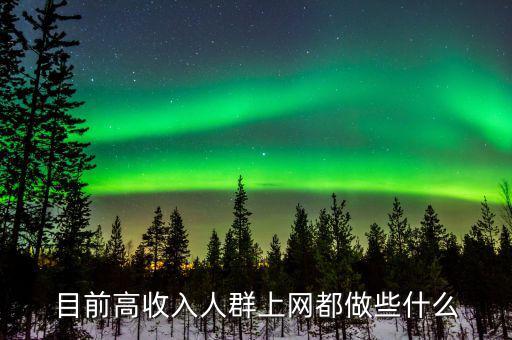 有錢人上網都干什么，目前高收入人群上網都做些什么