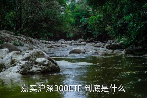 深證etf是什么，ETF 是什么意思