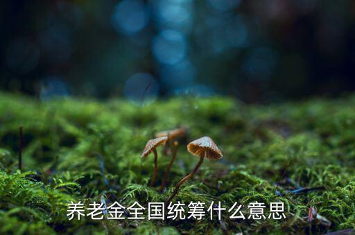 養(yǎng)老金統(tǒng)籌是什么意思，養(yǎng)老金全國統(tǒng)籌什么意思