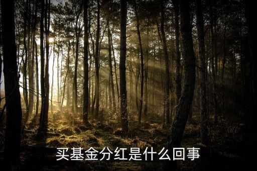 基金為什么分紅，買基金分紅是什么回事