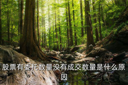 股票沒有成交量是什么情況，為什么股票沒有成交
