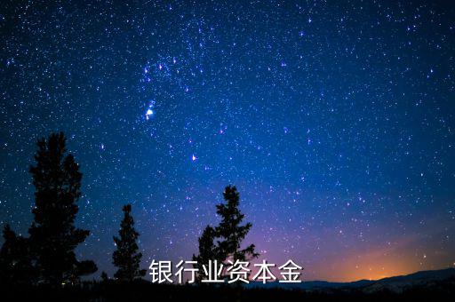 銀行資本金是什么，銀行業(yè)資本金