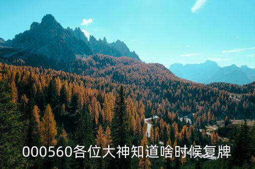 皖通科技什么時(shí)候復(fù)牌，600565什么時(shí)候復(fù)牌開市