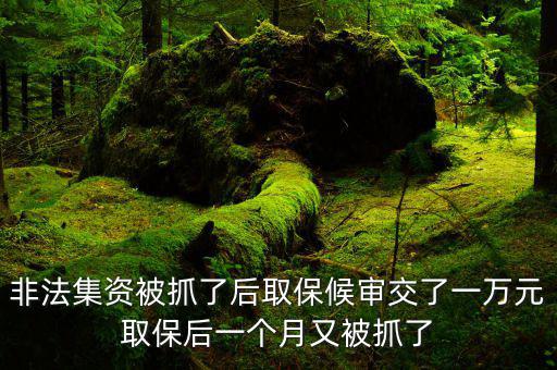 非法集資被抓了后取保候?qū)徑涣艘蝗f元取保后一個月又被抓了