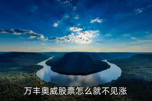 萬豐奧威為什么停牌，誰能告訴我這是怎么回事是停牌了嗎