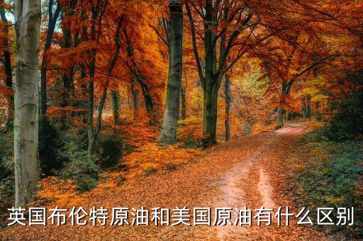 布油與美國原油有什么不同，英國布倫特原油和美國原油有什么區(qū)別