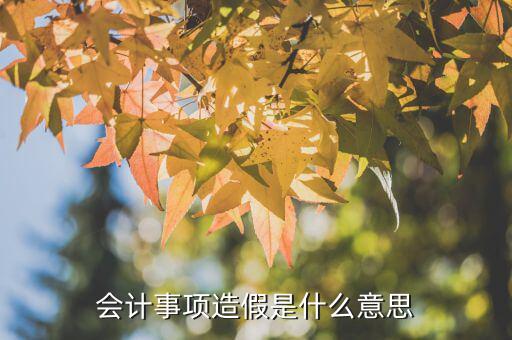 什么是財務(wù)造假，財務(wù)造假和利潤操縱是一個意思嗎