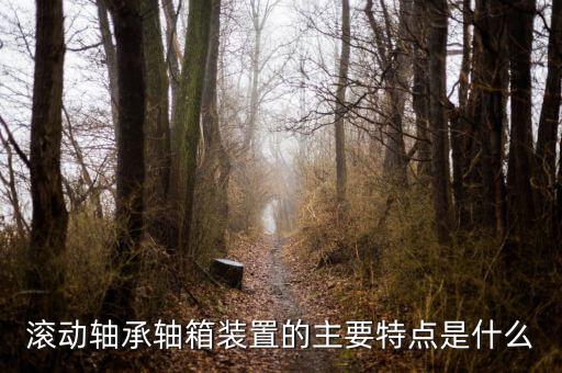 什么是軸箱軸承，什么是軸承