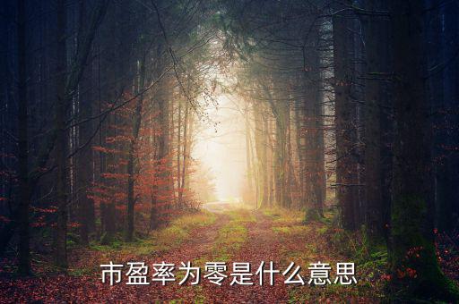 市盈率是0什么意思，市盈率為0是什么意思