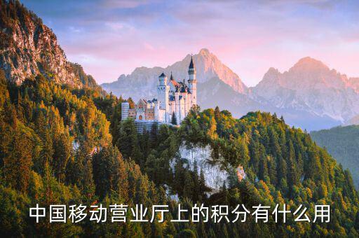 10086的積分有什么用，移動(dòng)電話積分有什么用