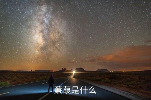 什么蒹施，蒹葭是什么意思