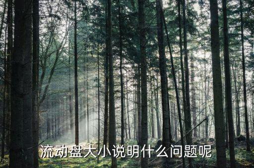 流通盤(pán)大小是什么意思，流通盤(pán)大小作用等