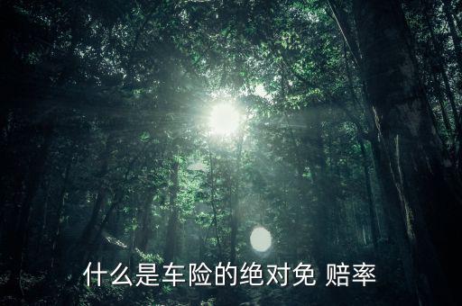 什么是車(chē)險(xiǎn)的絕對(duì)免 賠率