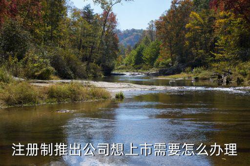 注冊(cè)制上市要什么條件，注冊(cè)制推出公司想上市需要怎么辦理