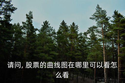 請(qǐng)問(wèn), 股票的曲線(xiàn)圖在哪里可以看怎么看