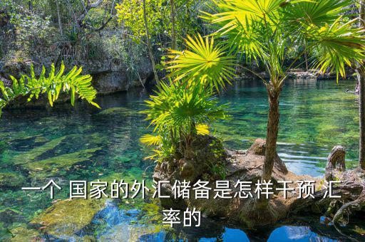一個(gè) 國家的外匯儲(chǔ)備是怎樣干預(yù) 匯率的