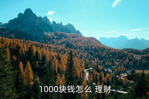 1000怎么投資理財,財富管理計(jì)劃從何而來?