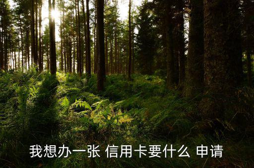 第一張信用卡怎么申請(qǐng),申請(qǐng)招商銀行信用卡需滿(mǎn)足以下四種條件