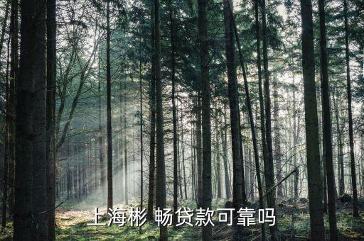 暢貸怎么樣,新一貸信用貸款無(wú)抵押、無(wú)擔(dān)保、審批快